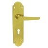 Handle on Backplate MV114IBL