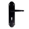 Handle on Backplate MV114IMSBLKB