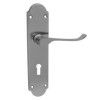 Handle on Backplate MV114INICKBL