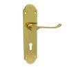 Handle on Backplate MV117IBL