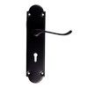 Handle on Backplate MV117IMSBLKB